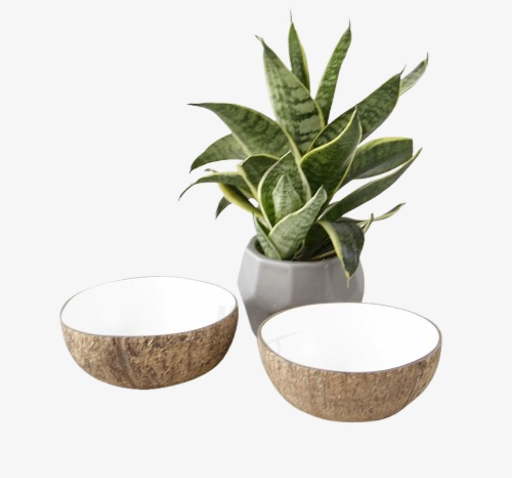 Coconut Shell Bowl Set – BD057